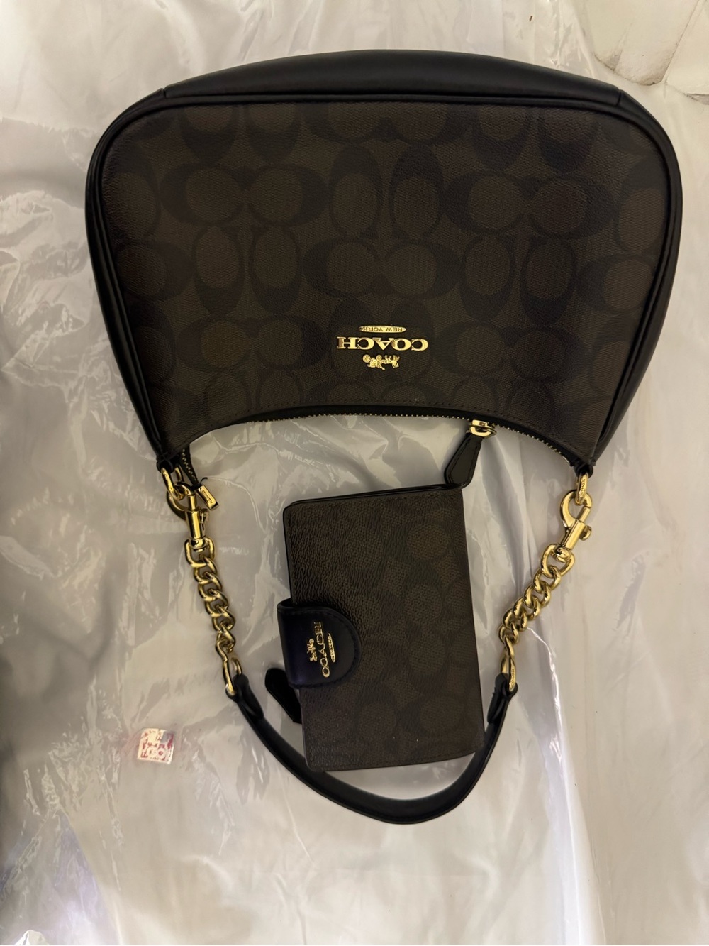 Coach Teri Signature Canvas Shoulder Bag with matchi wallet